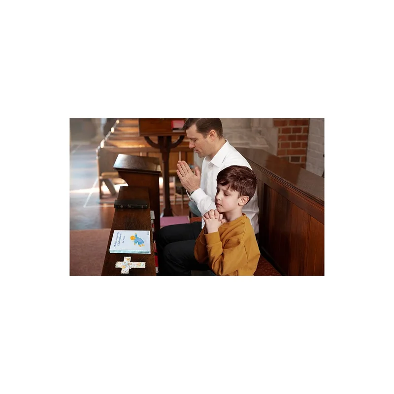ibspot-16048026