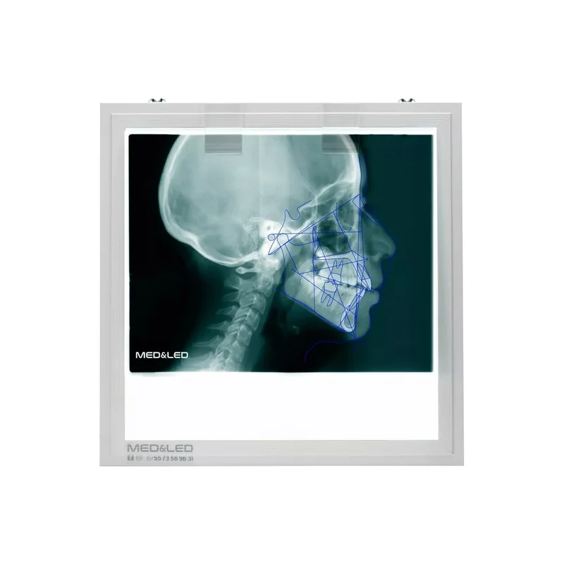 ibspot-36022510