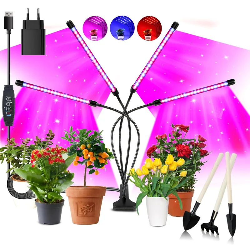 ibspot-4137549