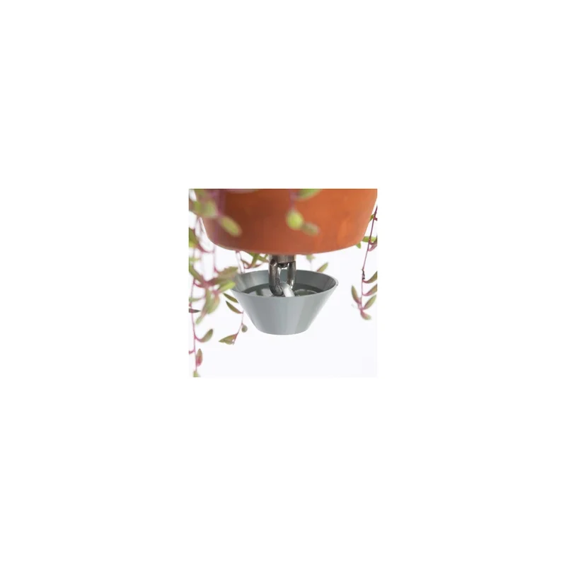 ibspot-44512551