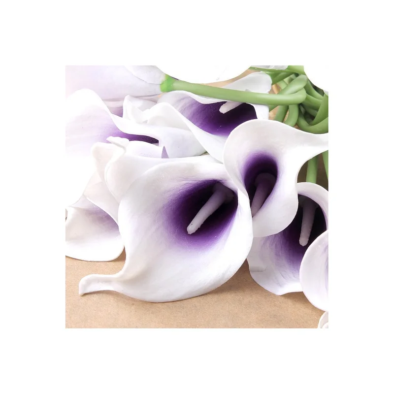 ibspot-45188015