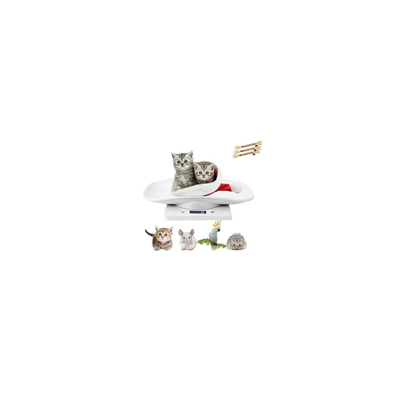 ibspot-45810176
