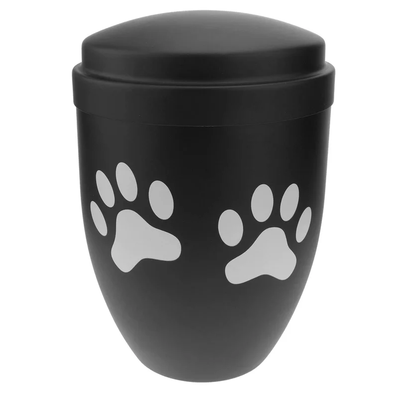 ibspot-55003154