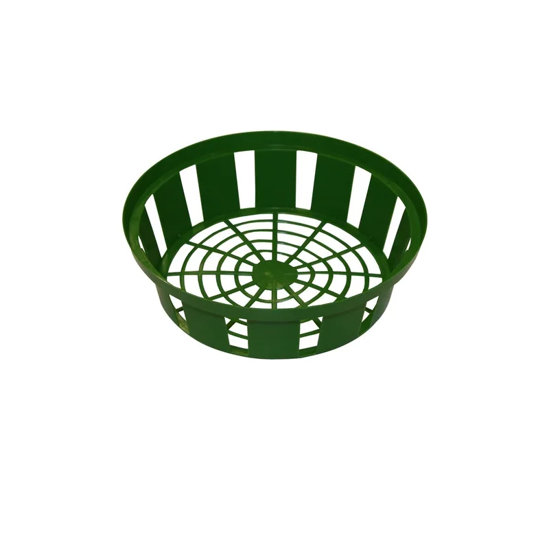 ibspot-55115445