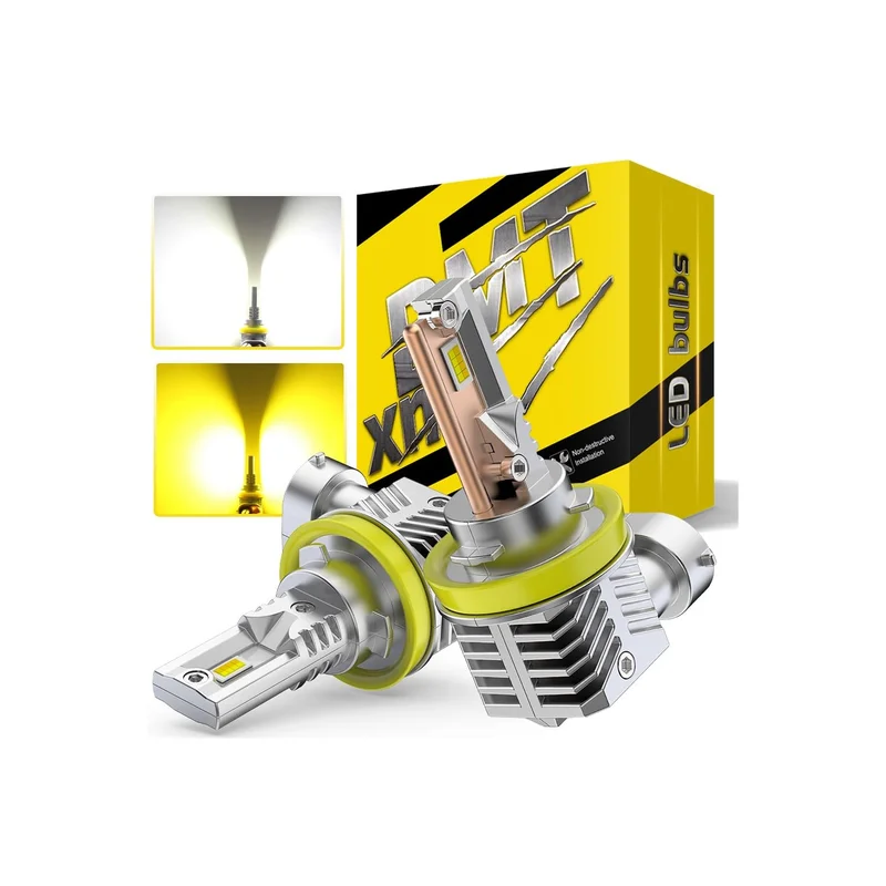 ibspot-55632937