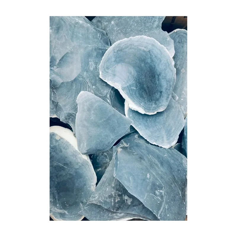 ibspot-55871187