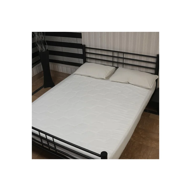ibspot-55920647
