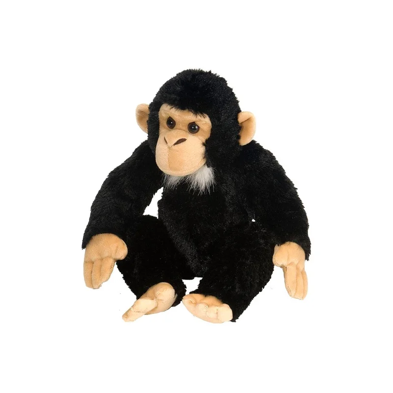 ibspot4773009