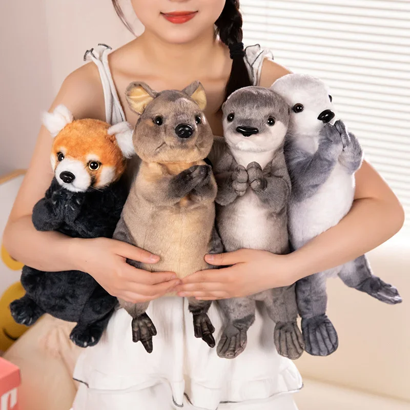 lcpshop3828276