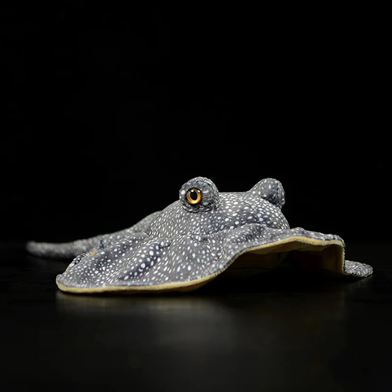 lcpshop3937468