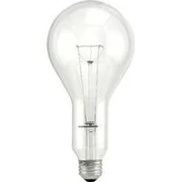 pettigrew-online4193405