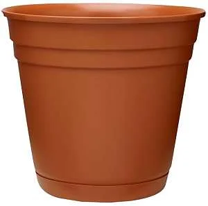 pettigrew-online4510131