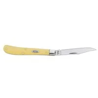 pettigrew-online4512884