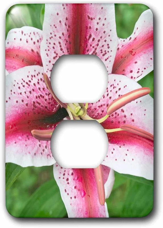 zeebooth-34163331