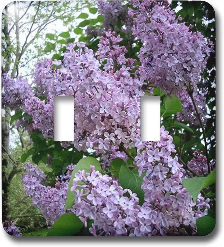 zeebooth-34163668