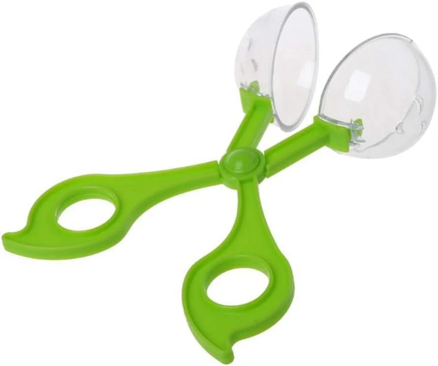 zeebooth-34653413