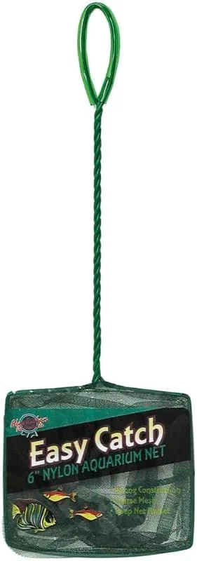 zeebooth-44489045