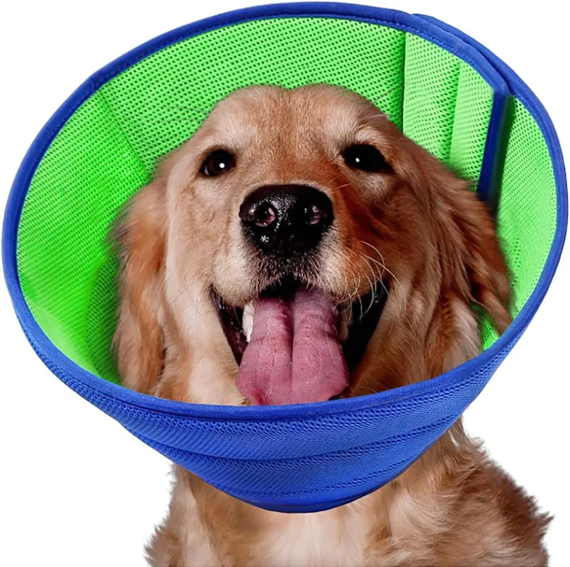 zeebooth-44524926