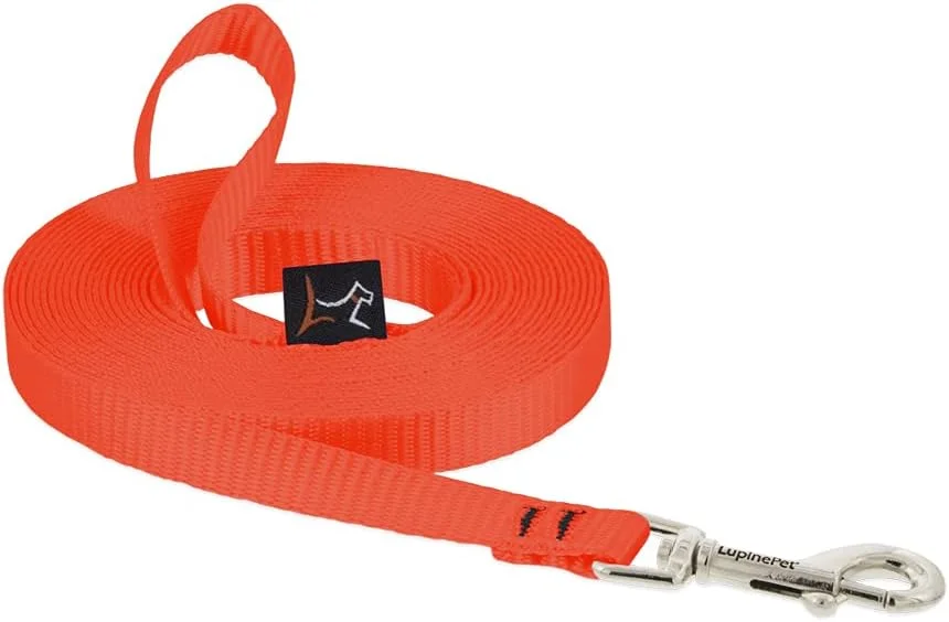 zeebooth-44583535